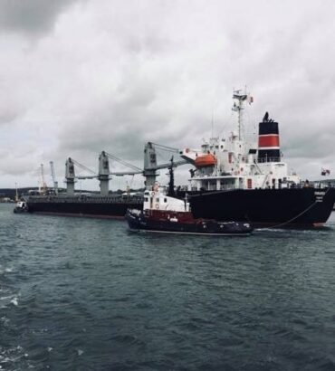 The image shows the export medium of proteins