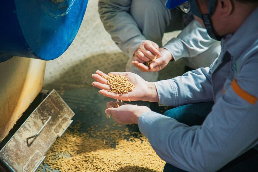 Soybean Meal vs Rapeseed Meal: Key Differences, Uses, and Market Trends