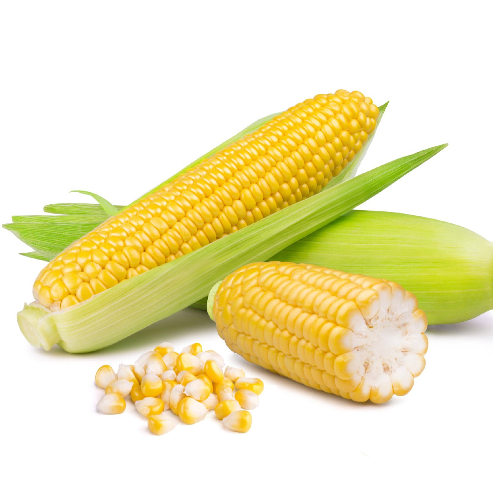 Maize_2-01