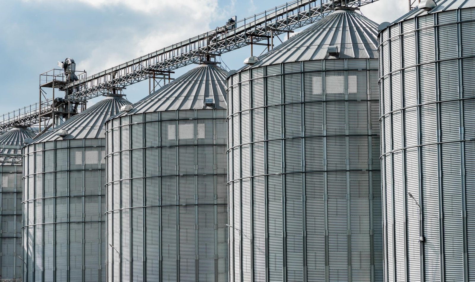 What Global Buyers Look for in Protein Commodity Suppliers